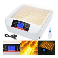 [해외] Digital Automatic 56 Eggs Incubator Hatcher Temperature Control with LED Candler