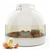 [해외] Egg Incubator Fully Automatic Egg Turning Auto Temperature Keep Easy to Observe 10 Eggs Small Poultry Hatcher for Chickens Ducks Goose Birds